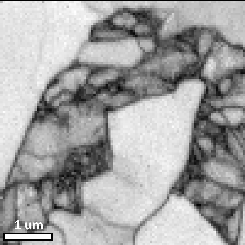 EBSD pattern quality map of martensitic steel collected at 10 kV accelerating voltage showing improved resolution EBSD pattern quality map of martensitic steel collected at 10 kV accelerating voltage showing improved resolution