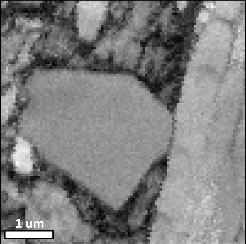 EBSD pattern quality map of martensitic steel collected at 20 kV accelerating voltage EBSD pattern quality map of martensitic steel collected at 20 kV accelerating voltage